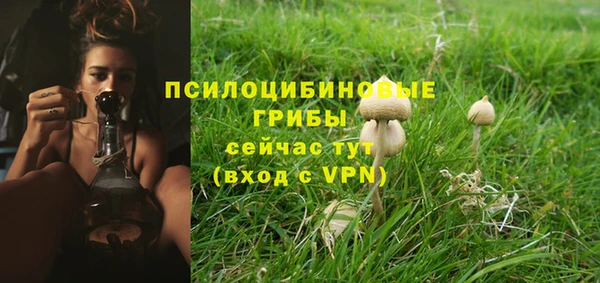 прущий лед Алексин