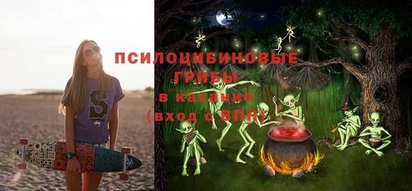 спиды Алзамай