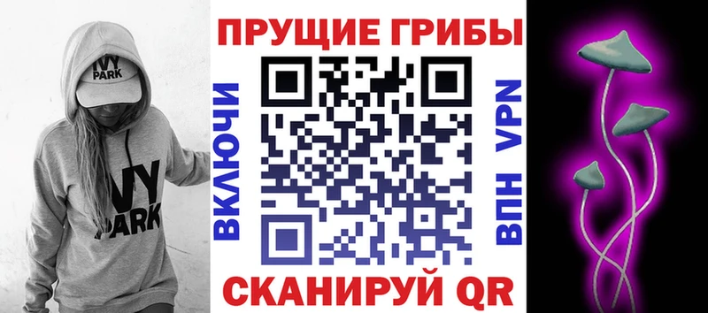 Галлюциногенные грибы Psilocybe  купить наркотик  Болгар 